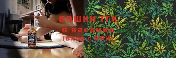 сатива Бронницы