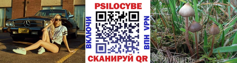 Галлюциногенные грибы Cubensis Красный Кут
